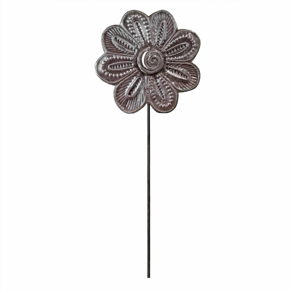 The Haitian Collection