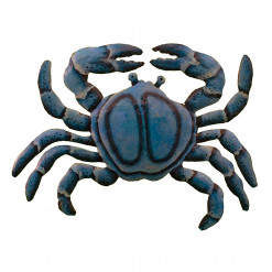 Painted Blue Crab