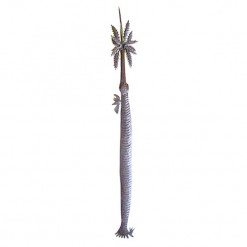 Skinny Palm with Bird