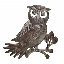Owl on Branch