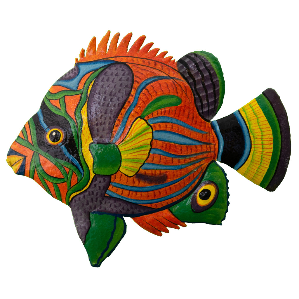 Painted Tropical Fish The Haitian Collection
