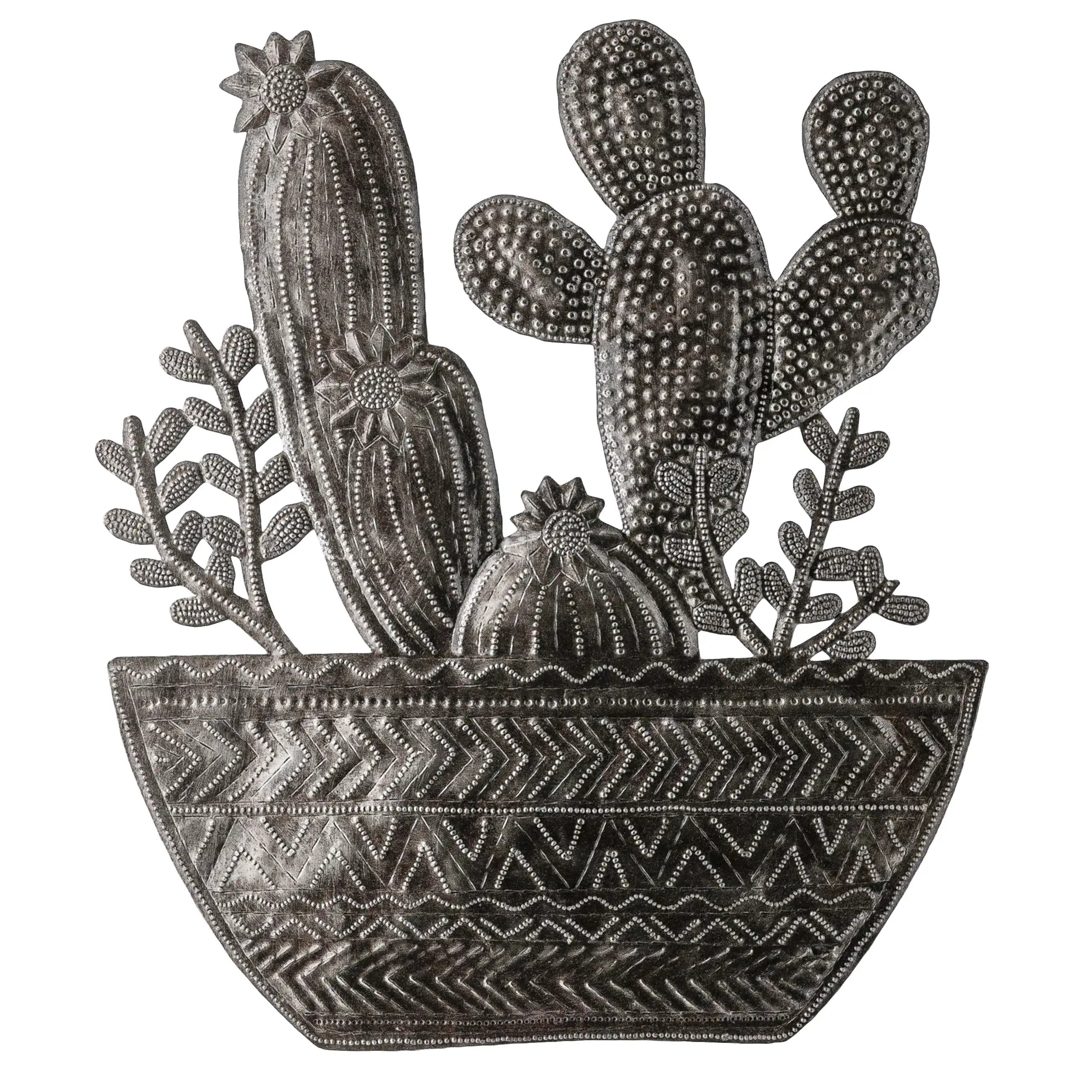 Succelent Cacti